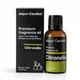 30 ML__JAIPUR CANDLES
