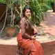 Orange__Sareetvam