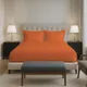 Burnt Orange__PIZUNA