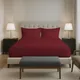 Rio Red__PIZUNA