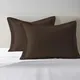 Dark Brown__PIZUNA