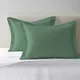 Hedge Green__PIZUNA