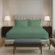 Hedge Green__PIZUNA