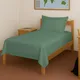 Hedge Green__PIZUNA