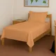 Apricot Orange__PIZUNA