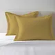 Mustard Gold__PIZUNA