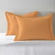 Apricot Orange__PIZUNA