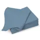 Dusty Blue__PIZUNA