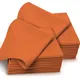 Burnt Orange__PIZUNA