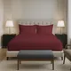 Brick Red__PIZUNA