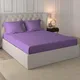 Purple__PIZUNA