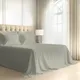Silver__PIZUNA