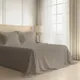Taupe__PIZUNA