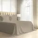 Taupe__PIZUNA