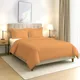 Apricot Orange__PIZUNA