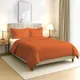 Burnt Orange__PIZUNA