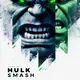Multicolor__SK AD HUB