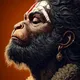 Multicolor__SK AD HUB