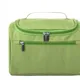 Parrot Green__Kesari Creation