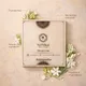 Natural__Tatvika Fragrances