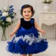 Blue & White__Avnee Collections