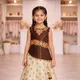 Brown And Cream__Avnee Collections