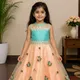 Peach and Acqua__Avnee Collections