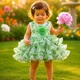 Green__Avnee Collections