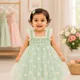 Mint Green__Avnee Collections