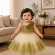 Green__Avnee Collections