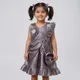 Silver  Maroon__Avnee Collections