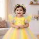 Multicolor__Avnee Collections