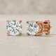 Rose Gold__RAGABANDHA DESIGN STUDIO
