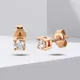 Rose Gold__RAGABANDHA DESIGN STUDIO