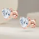 Rose Gold__RAGABANDHA DESIGN STUDIO