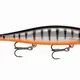 HALLOWEEN__Fishing Store India
