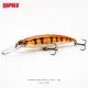 HALLOWEEN__Fishing Store India