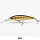 BLUE GHOST__Fishing Store India