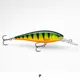PERCH__Fishing Store India