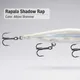 ALBINO SHINER__Fishing Store India