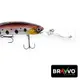 SILVERDOTTED__Fishing Store India