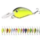 Multicolor__Fishing Store India