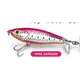 Pink Sardine