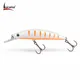ORANGE BELLY__Fishing Store India