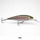 LIVE RAINBOW TROUT__Fishing Store India