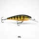 LIVE PERCH__Fishing Store India