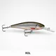 LIVE ROACH__Fishing Store India
