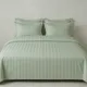 Sage Green__SLEEP THERAPY