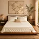 Cream__SLEEP THERAPY