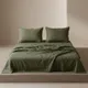 Tropical Green__SLEEP THERAPY